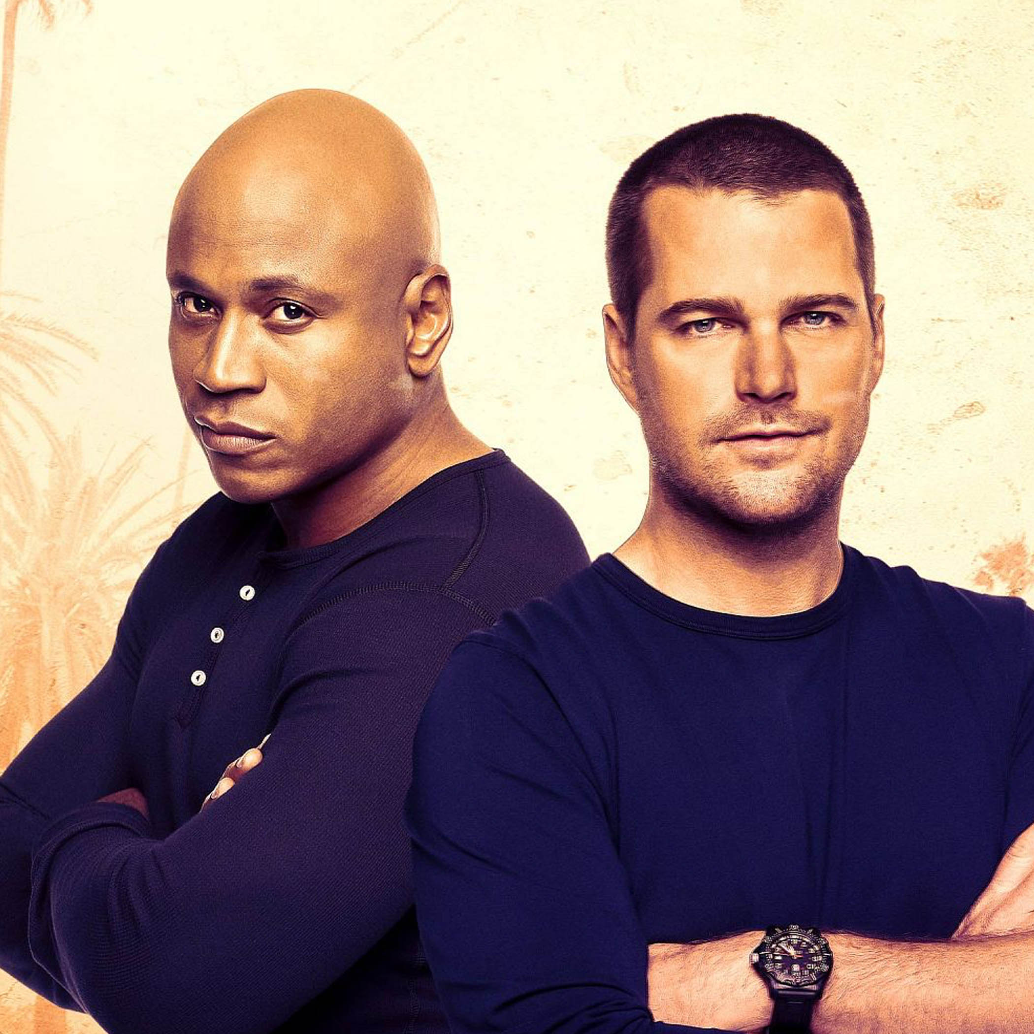 ncis